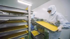 专注微量元素事业23年 山东公海贵宾会5500iii：做百姓放心的微量元素专家